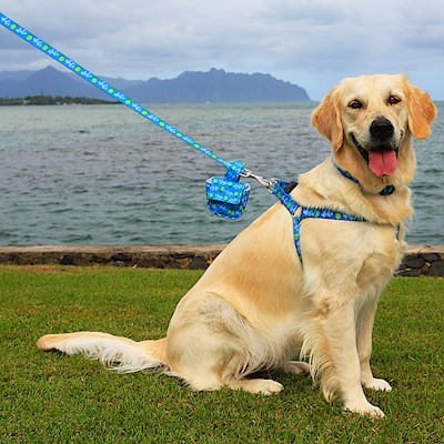 Pet Harness, Pineapple Aloha - S